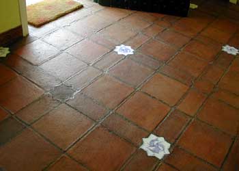 boiled-linseed-oil-with-ant-wax.jpg